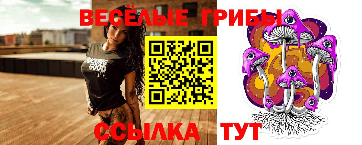 Псилоцибиновые грибы GOLDEN TEACHER  Вход с VPN  Ярославль 