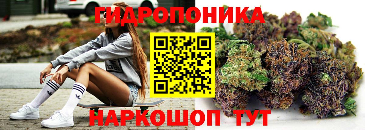 Бошки Шишки OG Kush Ярославль